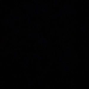 Meet your Posher, Maddie